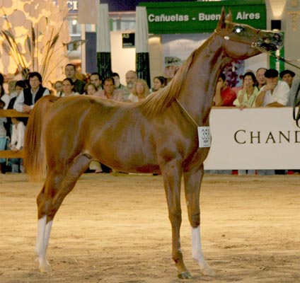 Exposicion Nacional 2006 31