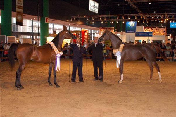 Exposicion Nacional 2006 3
