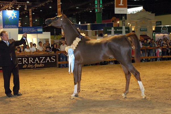 Exposicion Nacional 2006 12