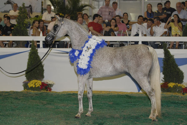 Exposicion Nacional Brasilera 8