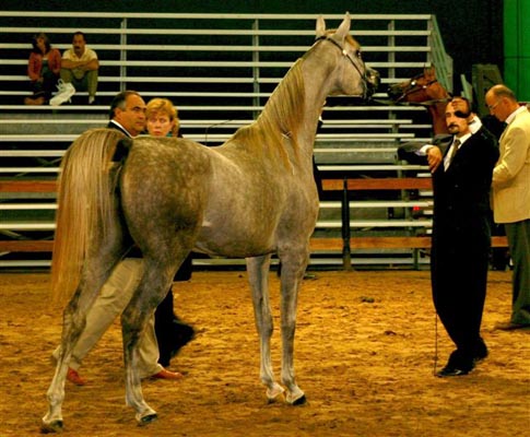 Exposicion Nacional Argentina 16