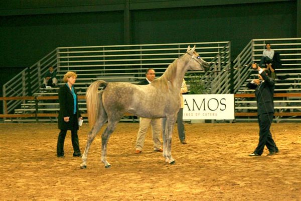 Exposicion Nacional Argentina 20