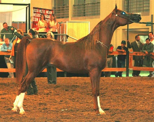 Exposicion Nacional Argentina 30