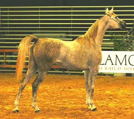 Exposicion Nacional Argentina 32