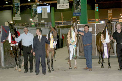 Reconocimiento 05