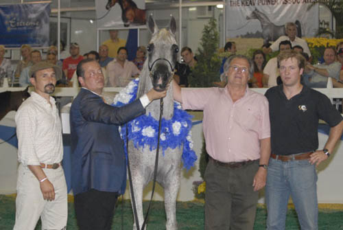 Reconocimiento 29