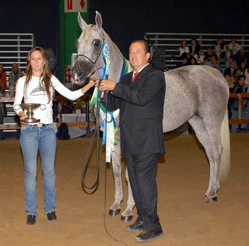 Reconocimiento 32