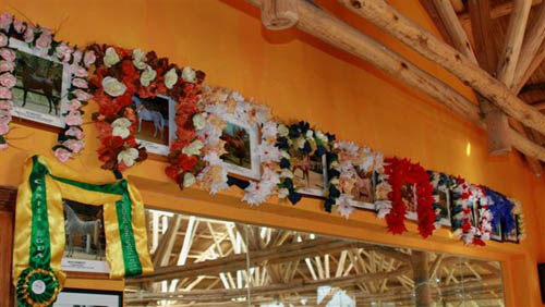 Reconocimiento 46