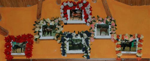 Reconocimiento 53